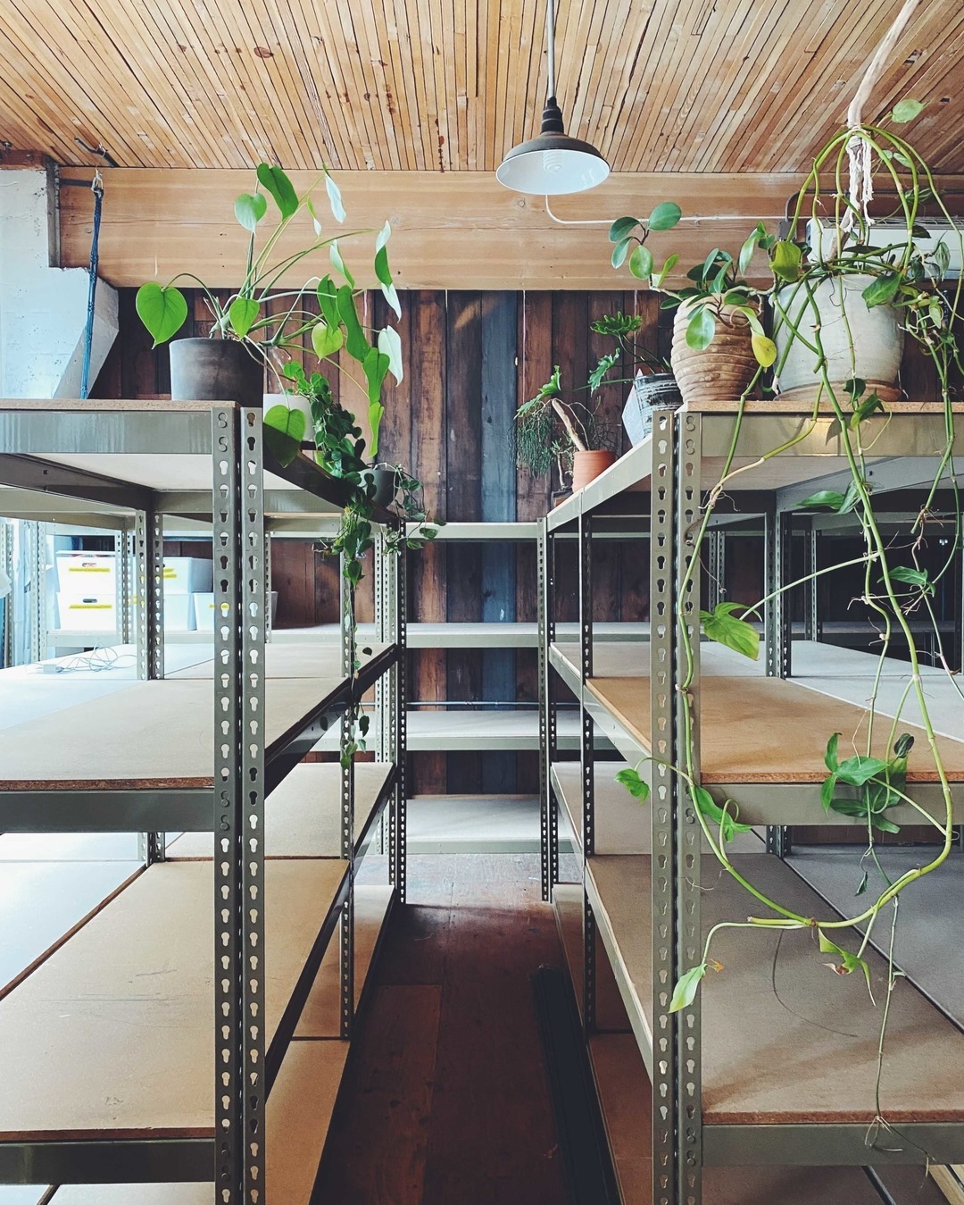 Modern Macram? Studio shelves with plants