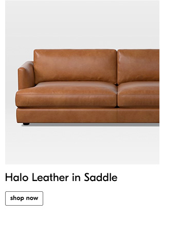 Halo Leather in Saddle