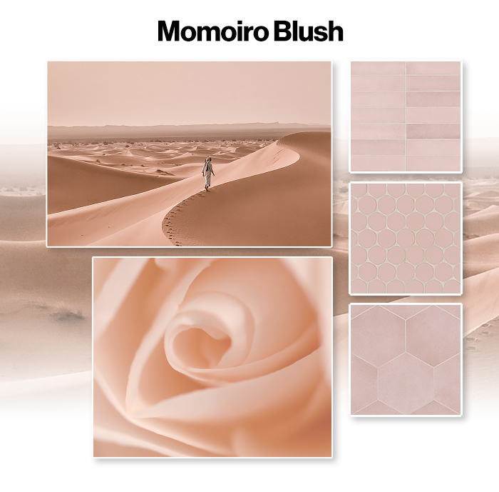 Momoiro Blush