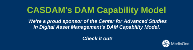 Copy of DAM Capability Model banner