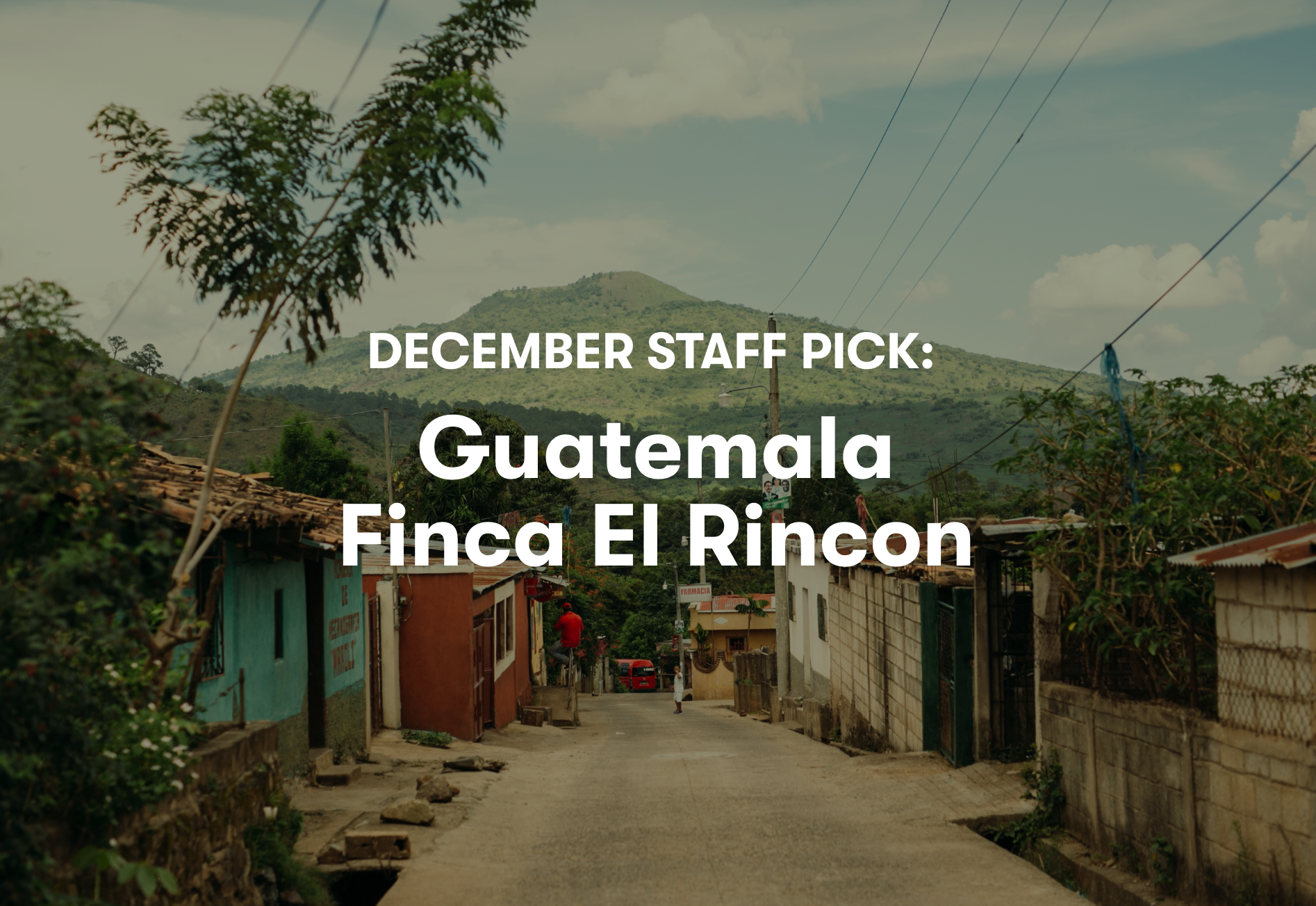 Finca El Rincon