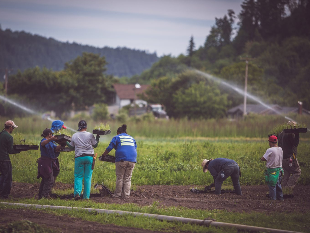 People farming in WA state.