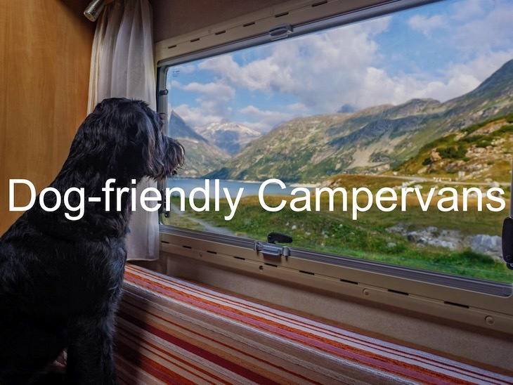 Dog-friendly campervans
