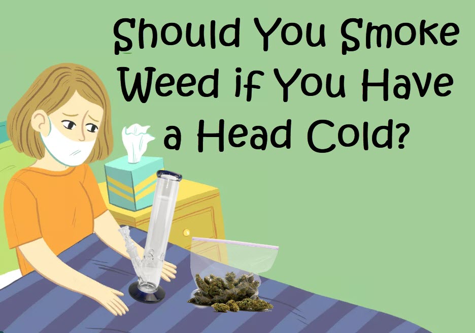 head colds and weed