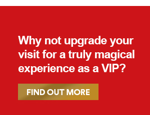 Why not upgrade your visit for a truly magical experience as a VIP? Find out more