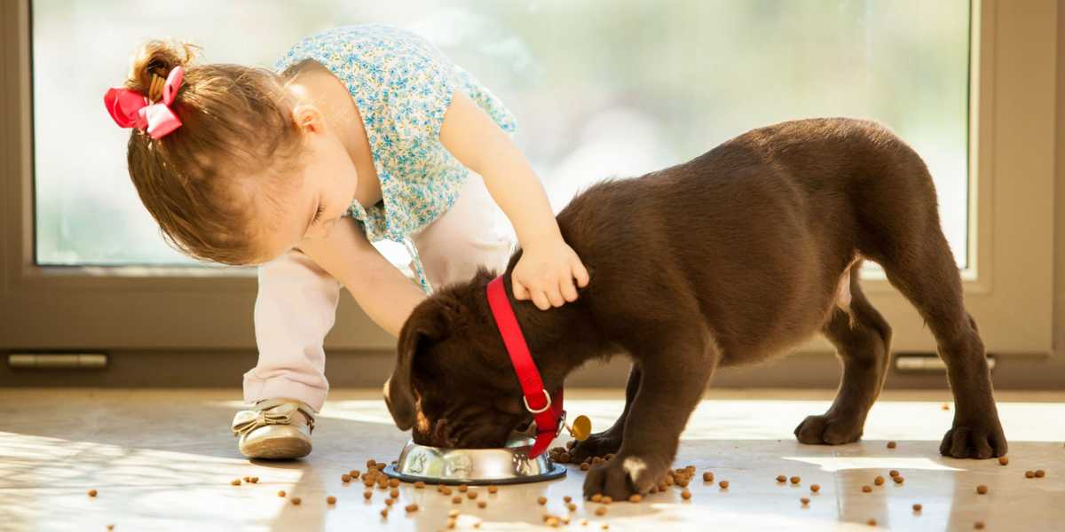 Some dogs do better with older kids, while others are more patient with little ones.