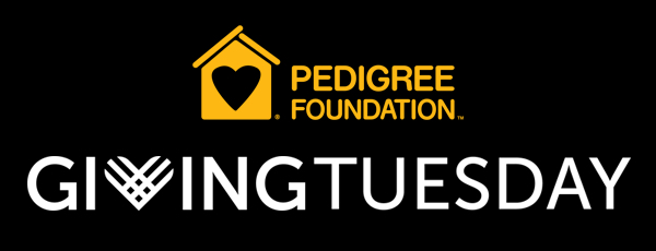Pedigree Foundation | Giving Tuesday