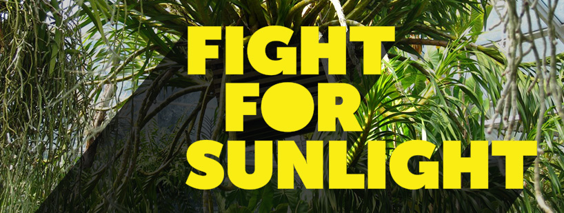 Graphic with the words "Fight for Sunlight"