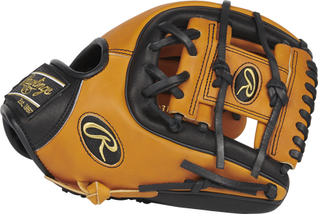 Horween leather 11.5-Inch 31-Pattern Infield Glove