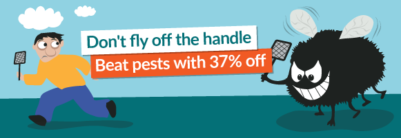 Don''t fly off the handle - Beat pests with 37% off