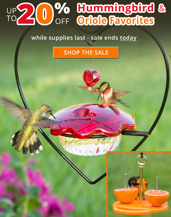 Up to 20% Off Select Hummer & Oriole Favorites. No Code Needed. While Supplies Last. Sale Ends 5/14/20.
