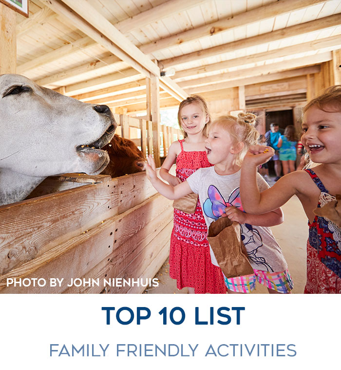 Top 10 Family Friendly Activites