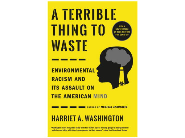 A Terrible Thing to Waste by Harriet A. Washington