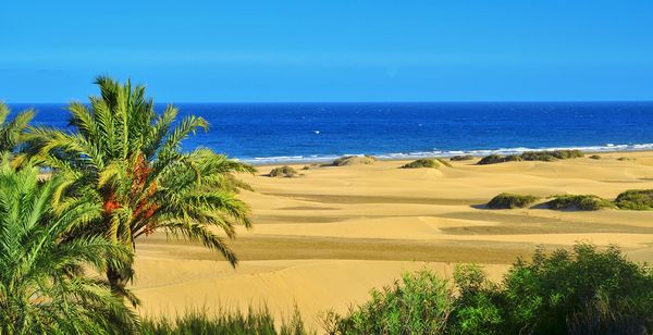 Labranda Playa Bonita 4*