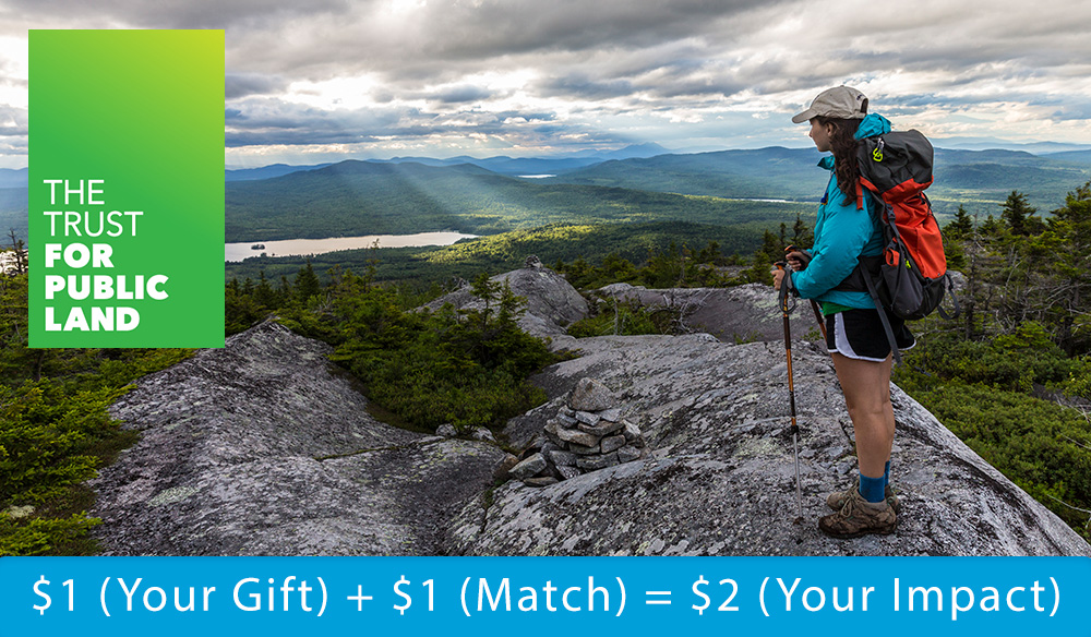 $1 (Your Gift) + $1 (Match) = $2 (Your Impact)