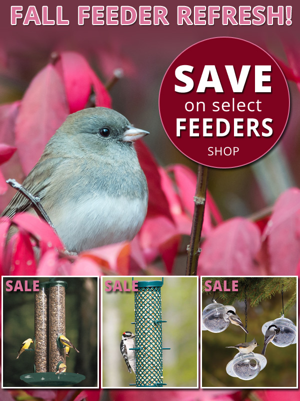 Save on Select Favorite Feeders for Fall! No Code Needed. Sale Ends 10/12/20.
