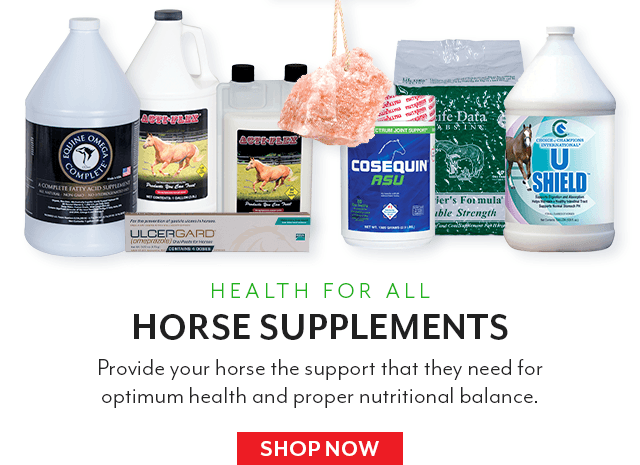 Keep your horse in top shape this spring!