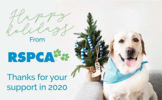 Happy Holidays from RSPCA - Thanks for your support in 2020