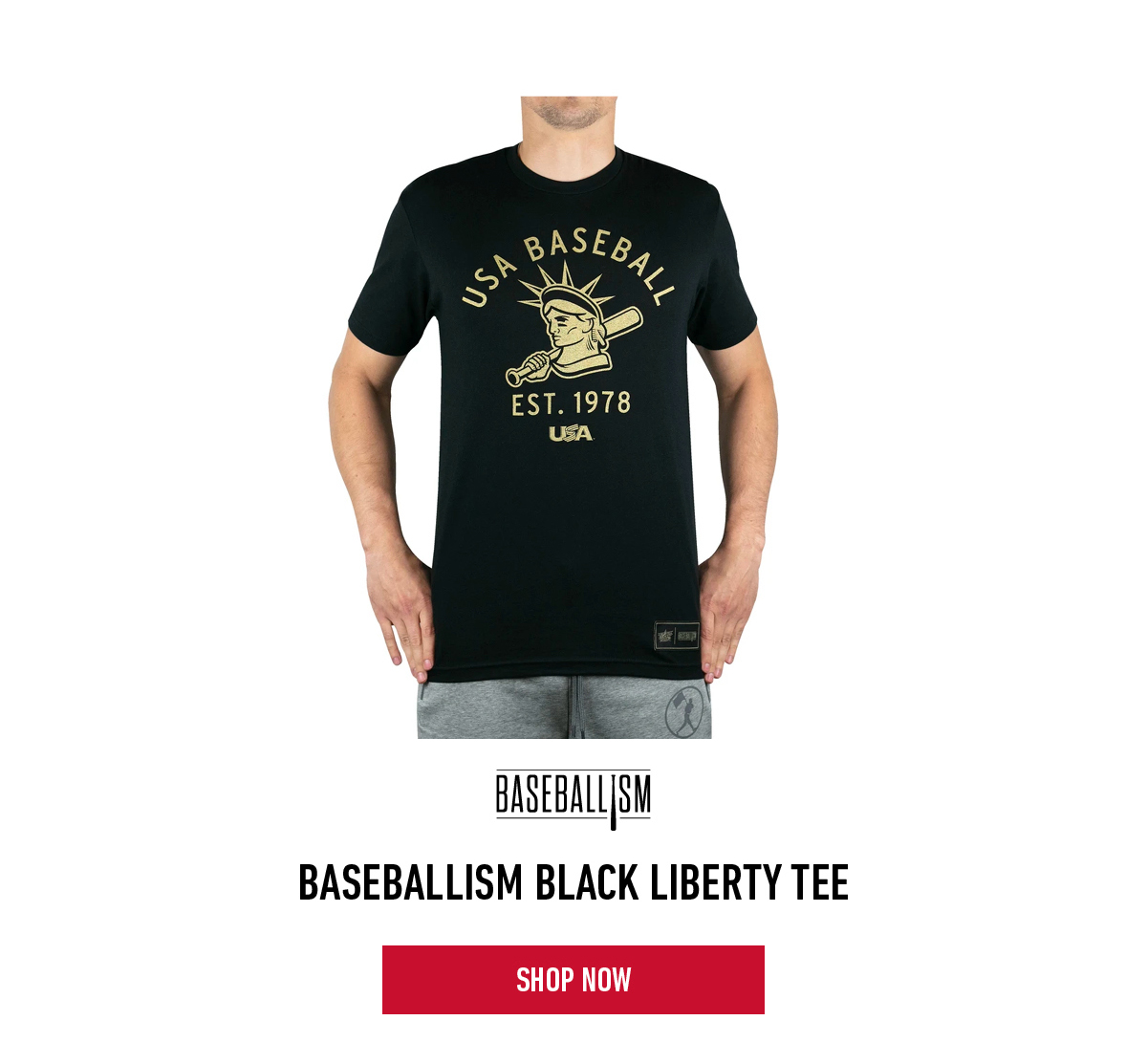 Baseballism Black Liberty Tee