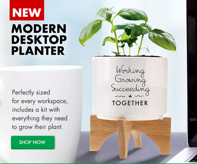 New Modern Desktop Planter