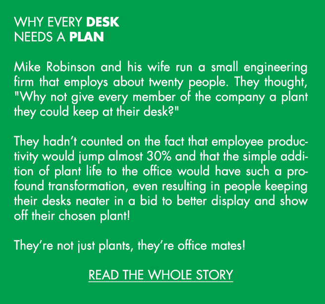 WHY EVERY DESK NEEDS A PLAN  Mike Robinson and his wife run a small engineering firm that employs about twenty people. They thought, "Why not give every member of the company a plant they could keep at their desk?"  They hadn’t counted on the fact that employee productivity would jump almost 30% and that the simple addition of plant life to the office would have such a profound transformation, even resulting in people keeping their desks neater in a bid to better display and show off their chosen plant!  They’re not just plants, they’re office mates!  READ THE WHOLE STORY