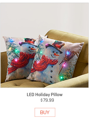 LED Holiday Pillow