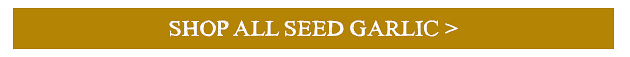 https://www.thegarlicfarm.co.uk/buy/garlic-for-growing?utm_source=Email_Newsletter&utm_medium=Retail&utm_campaign=CV_Nov20_2