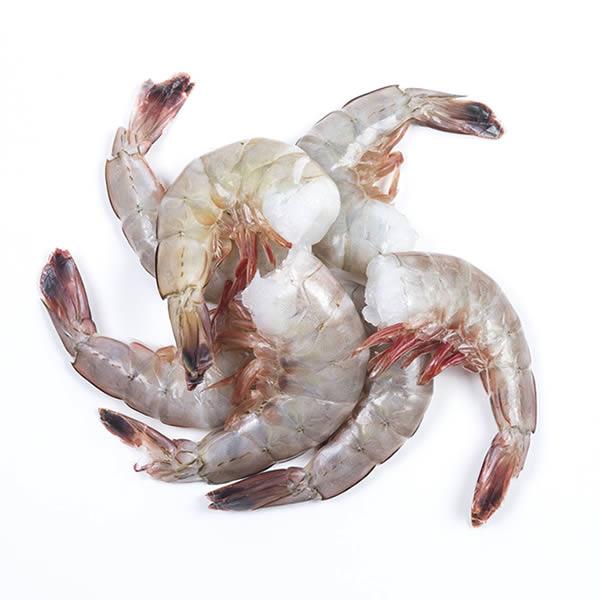 Farm Shrimp (under 12 count per lb) - 4lb Box