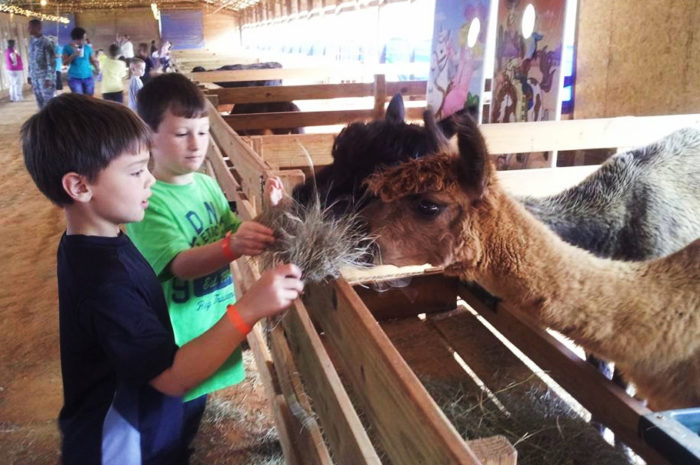 The Small Town Petting Zoo In Alabama That''s Worthy Of A Road Trip