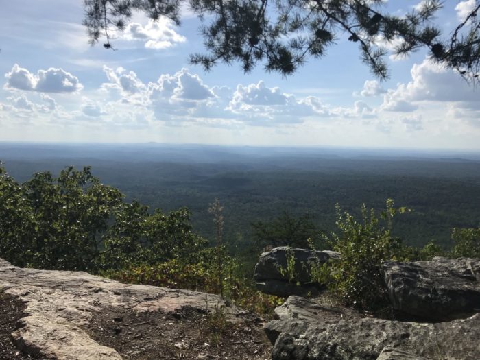 This Breathtaking Trail Is The Best Way To See Alabama From Up Above