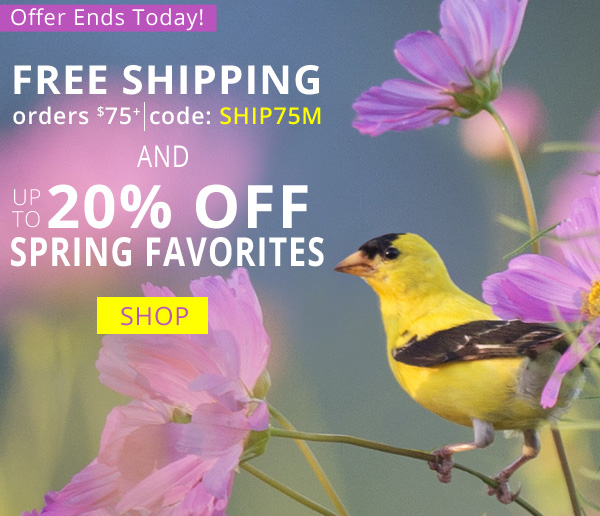 Up to 20% Off Select Spring Favorites! Plus, Enjoy Free Shipping When You Spend $75 or More! Use Promo Code SHIP75M for Free Shipping! Sale Ends 4/16/20.