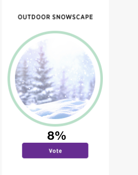Vote for Outdoor Snowscape