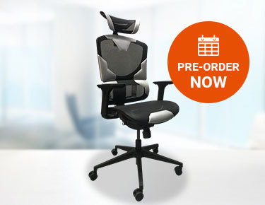 Ultimate Gaming & Office chair