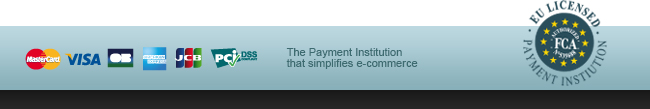 Payment insitution that simplifies e-commerce