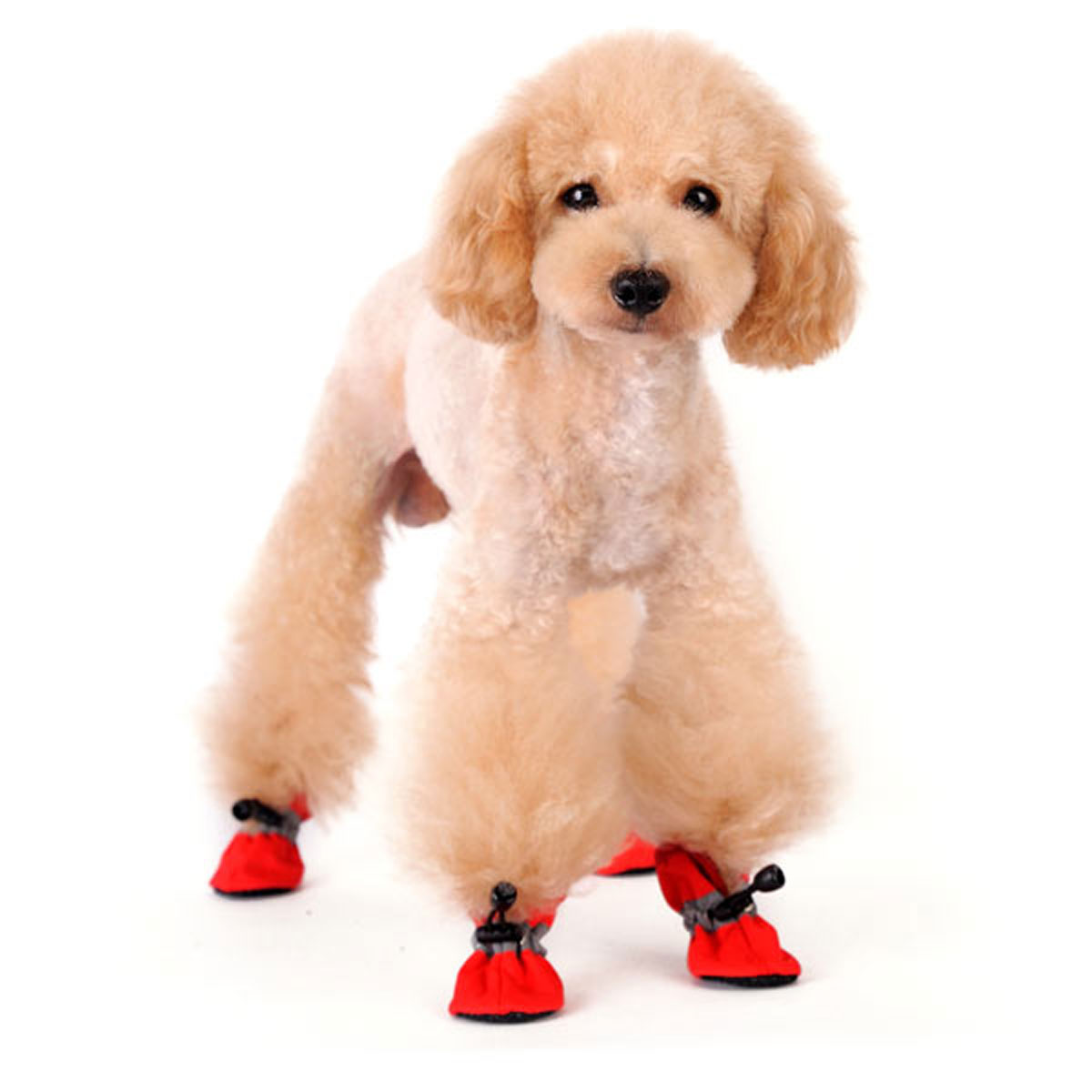 Slip-On Paws Dog Booties by Dogo - Solid Red