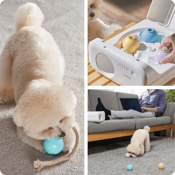 TREATOI smart automatic treat ball satisfies your pet's senses while you're away