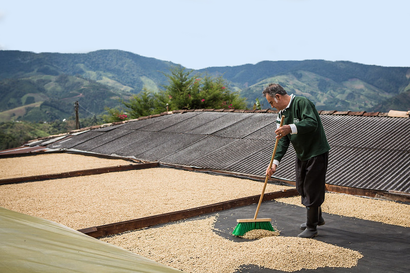 farmersfirst drying yard