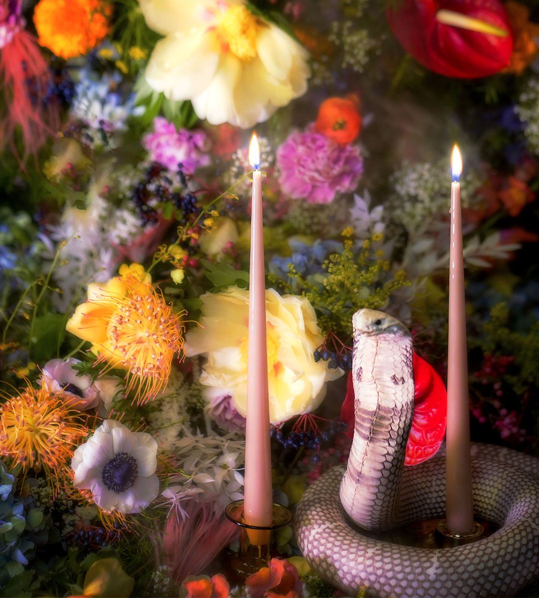 A colorful landscape of yellow peonies, white anemones and pink carnations showcase two gorgeous nude taper candles surrounded by a white taxidermy snake