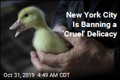 New York City Is Banning a 'Cruel' Delicacy