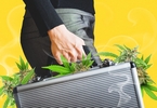 Access here alternative investment news about Investors Poured $57M Into Cannabis Tech Startups