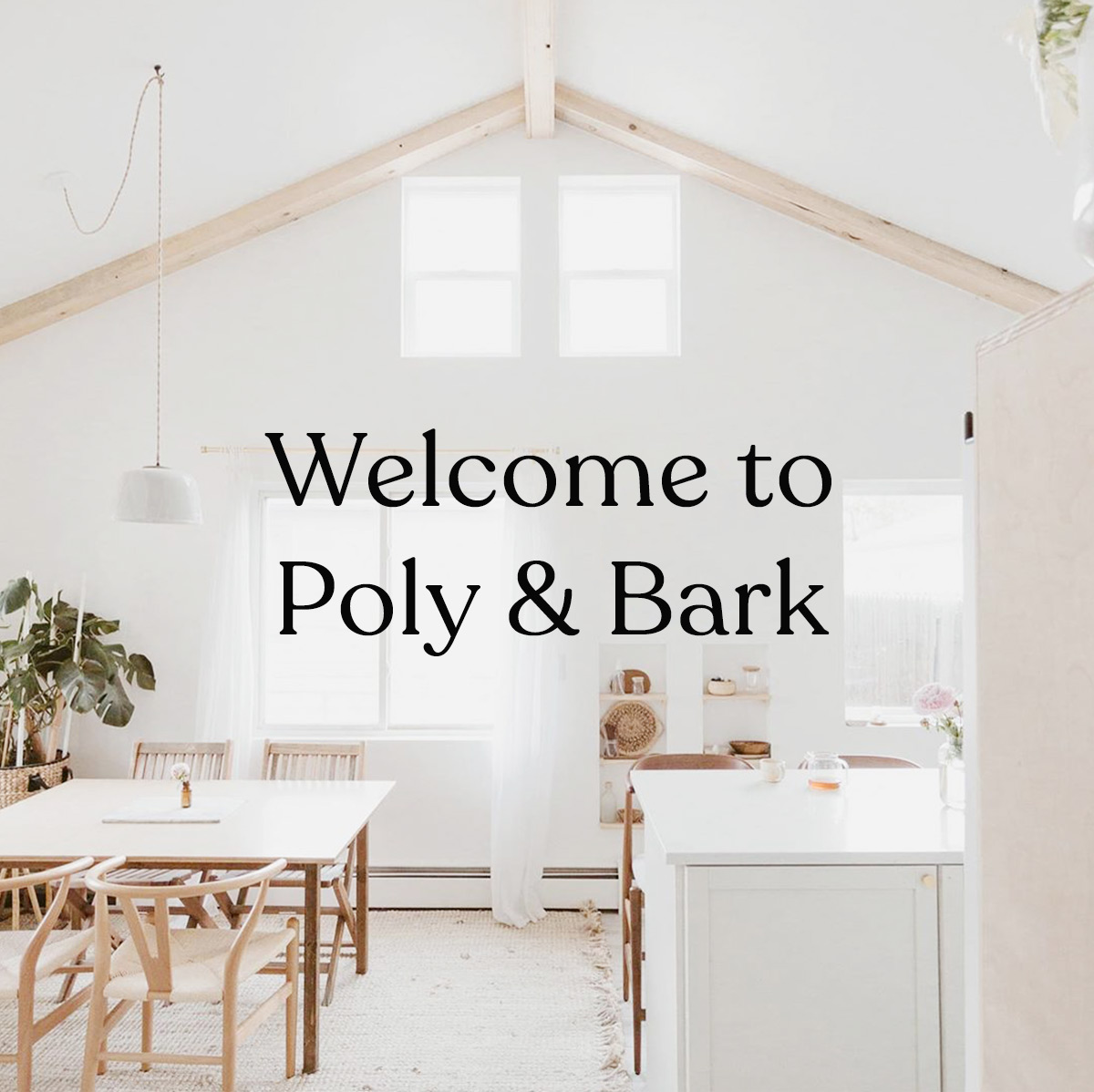 Welcome to Poly & Bark!