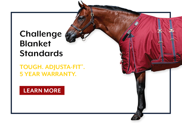  A Blanket that Challenges Blanket Standards These tough waterproof turnout blankets and sheets allows your horse to stay comfortable and dry no matter how they play out in the pasture. 