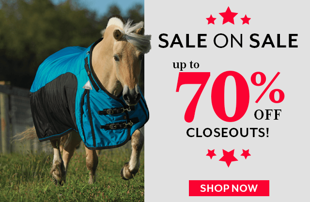 Presidents' Day Sale on Sale: up to 70% off closeouts and overstocks.