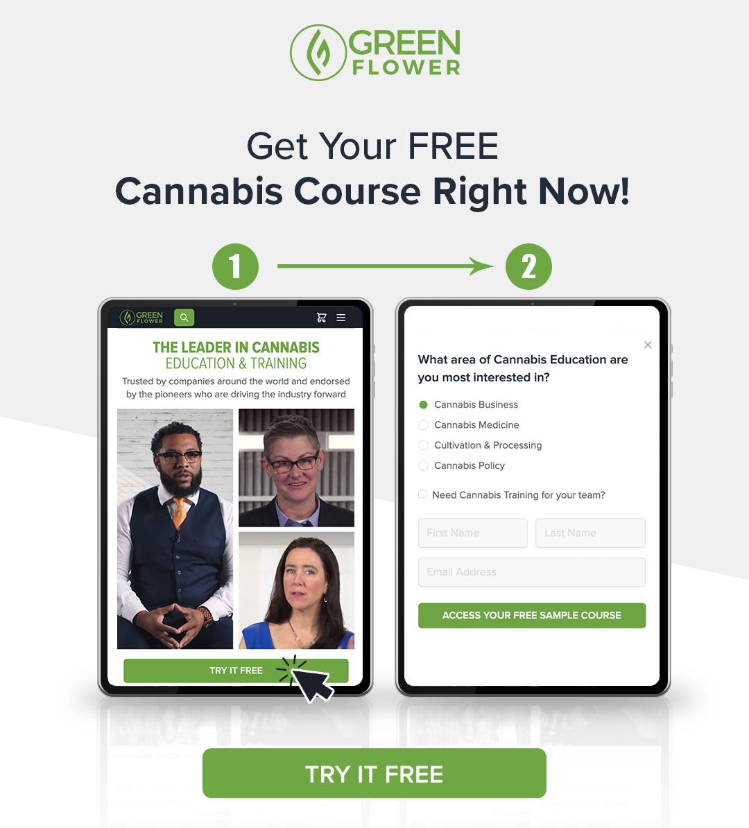 Get your free cannabis course right now