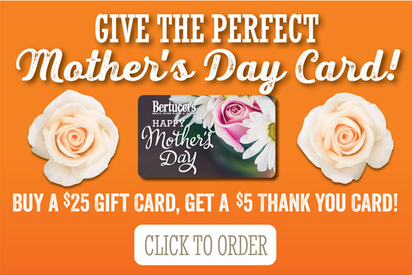 Mother''s Day Gift Card - Buy $25, get $5