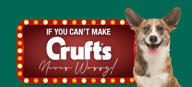 Can''t Go to Crufts? Don''t Worry