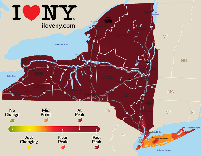 Fall Foliage map of New York from November 2020