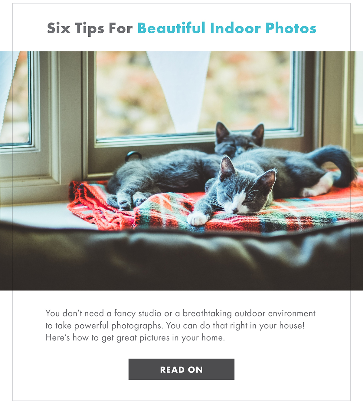SIX TIPS FOR BEAUTIFUL INDOOR PHOTOS  You don't need a fancy studio or a breathtaking outdoor environment to take powerful photographs. You can do that right in your house! Here's how to get great pictures in your home.  READ ON