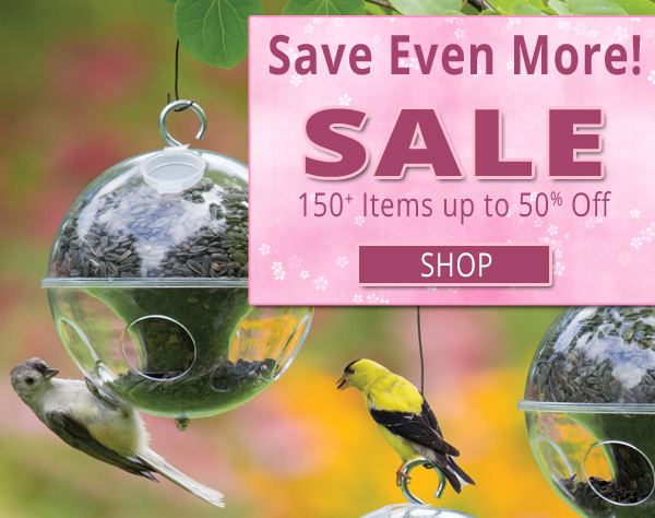 Save Even More! 150+ Items Now Up to 50% Off!