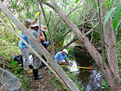 Our Carlsbad Team Monitors Water in Local Lagoons